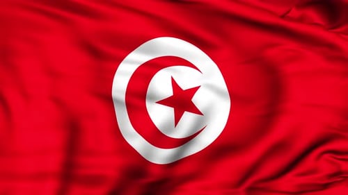 Waving Tunisia Flag Animation with Realistic Fabric Movement