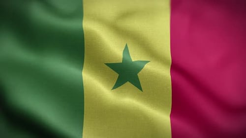 Waving Flag of Senegal Seamless Loop