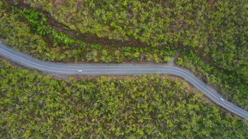 View From a Drone Vertically Down on an Asphalt Road in the Forest at Dawn