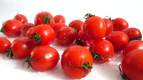 The Fall of Cherry Tomatoes 2