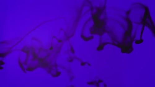 Schwarze Tinte fiel über und wirbelte langsam im Wasser auf lila Hintergrund