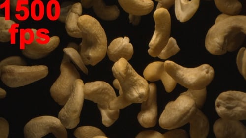 Cashew Nuts