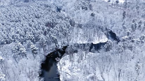 Frozen forest and curvy river. Aerial view of winter nature.