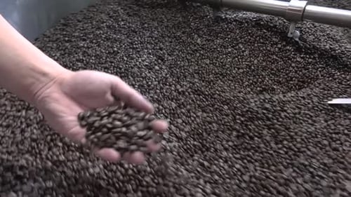 Coffee Roaster Machine
Coffee Roast Machine
Coffee Roaster
Coffee Factory
29.97fps