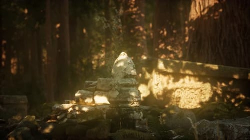 Ruines grêles d'une ancienne ville dans la forêt de pins