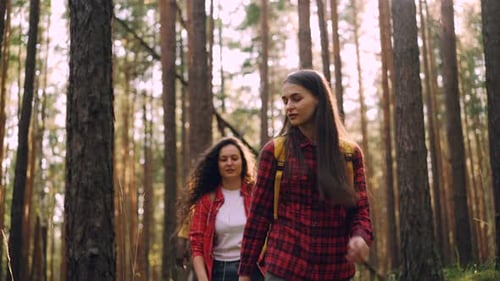 Young Careless Men and Women Are Hiking in Woods on Sunny Summer Day Carrying Knapsacks