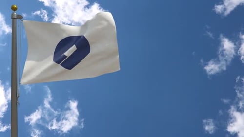 Clean Corporate Logo Waving Flag Animation