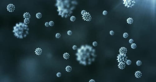 Animated Microscopic Virus Particles for Health and Science Visuals