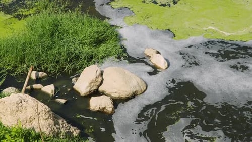 Toxic Hazardous Water Turbulence Due To Chemical Wastes