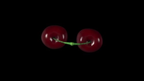 Realistic Cherries Rotating on Black Background