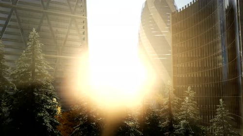 Rayas celestes y puesta de sol