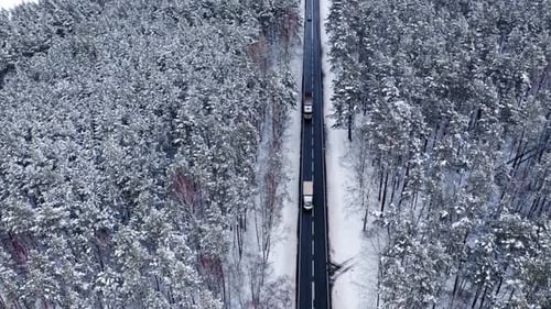 Transportation in winter. Asphalt road through snowy forest.