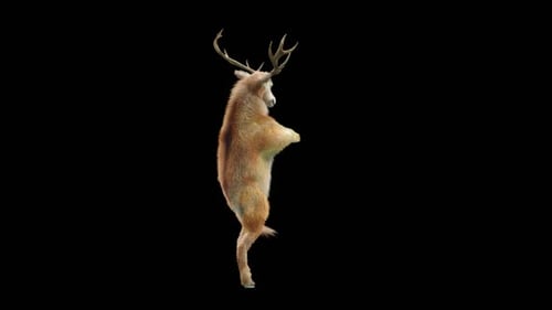 Animated 3D Deer Dancing with Alpha Channel