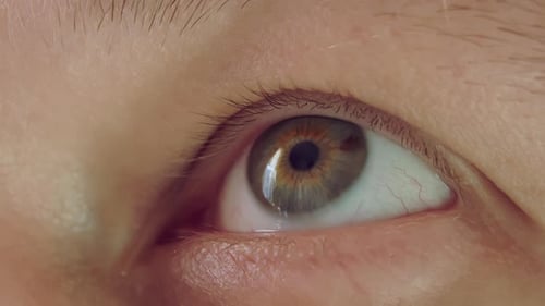 Looking up the gray-green eye of a young man, extreme close-up