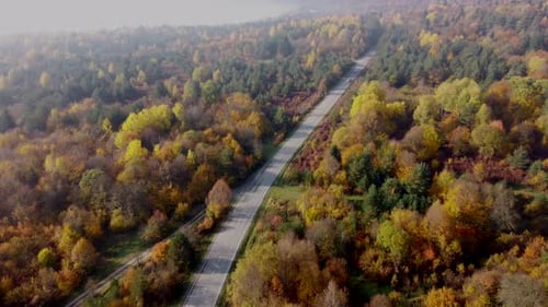 Autumn colors and mountain road aerial view