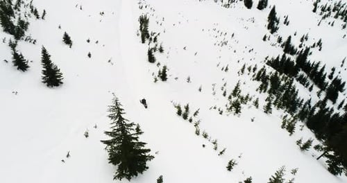 Snowmobile Winter Man Driving Down Trail Birds Eye View Drone Shot