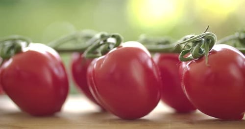 Fresh Red Tomatoes on the Vine, Close Up