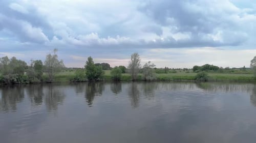 Fly From The Lake To The Forest