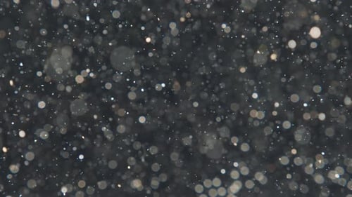 Elegant, Detailed, and Delightful Bokeh and Particles Visuals with Shallow Depth of Field Underwater