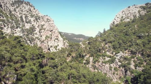 Flying over rocky mountains and pine tree forest.