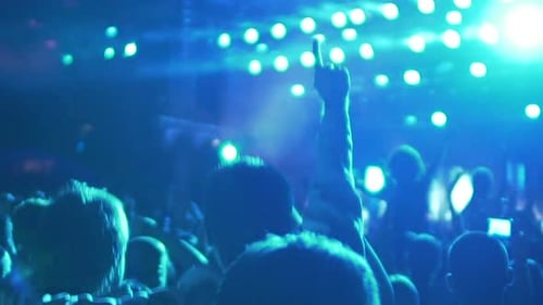 Crowd at Music Concert in Urban Environment