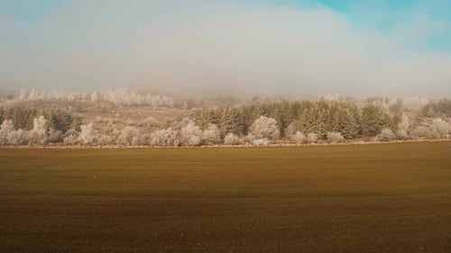 Imágenes aéreas Sobrevolando cables eléctricos hasta el bosque helado