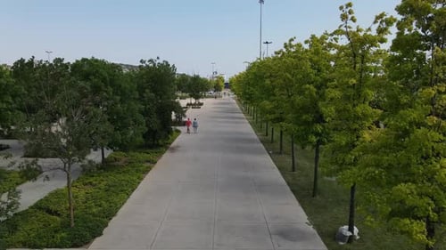 People Walking Park