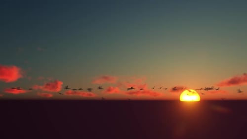Beautiful Sunset Over Water with Flying Birds