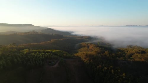 4K aerial view from a drone flying over the valley, fog in the morning.