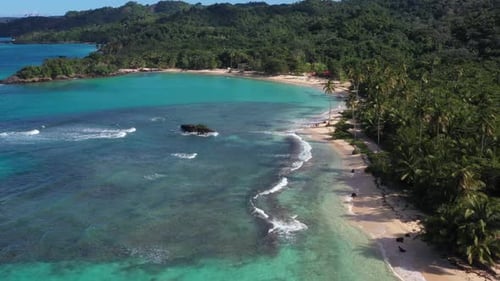 4k 24fps A Sunny Day In The Caribbean Beach With Palmstree And The Waves 2