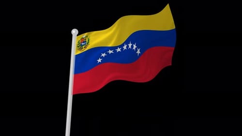Realistic Waving Venezuela Flag Loop Animation