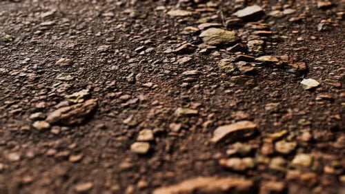 Closeup of Dirty Ground Road