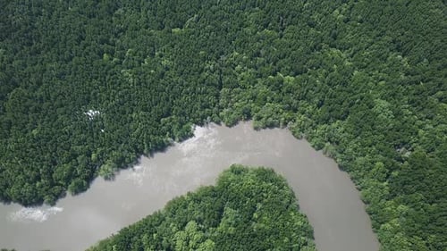 Aerial View on Mangrove Forest and River Thailand