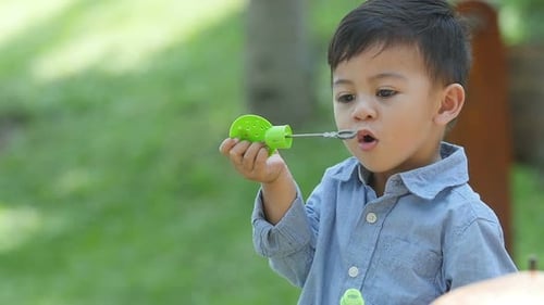 Little Boy Make A Soap Bubbles In Park