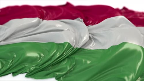 Textured Hungarian Flag Waving Animation