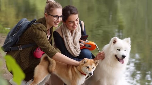 Zwei Frauen streicheln Hunde in der Nähe von
