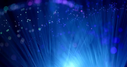 Fiber Optic Light Strands Glimmer on Dark Backdrop