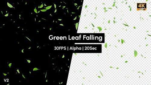 Grünes Blatt fallende Regenblätter