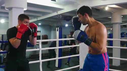 Two Men on a Training Fight