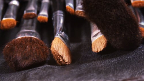 Make-Up Brushes Arranged on Display