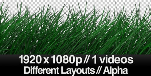 Realistic Grass Blowing in Wind - Calm - ALPHA