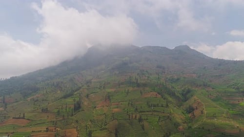 Aerial View of Terraced Farms in Mountainous Region