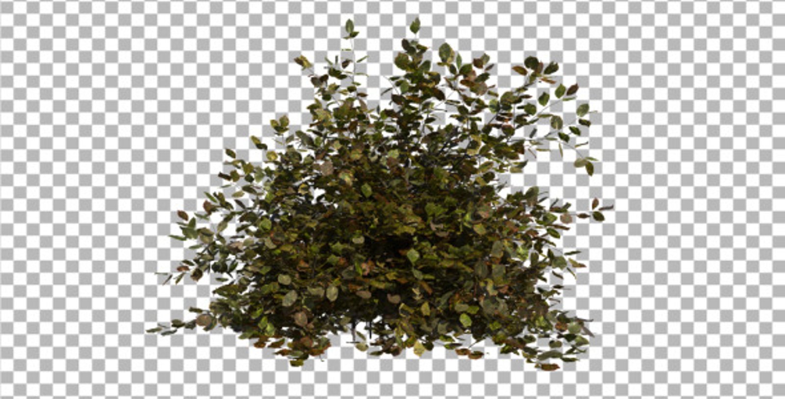 Bush, Elements Motion Graphics ft. branch & element - Envato