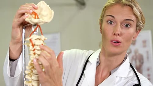 Physiothérapeute examinant un modèle de colonne vertébrale