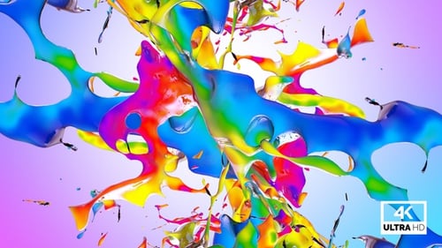 Fluid Rainbow Paint Splash Reveal Transition