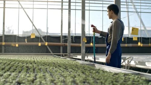 Greenhouse Laborer gießt Setz