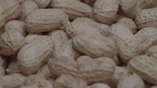 Close-up of Raw Peanuts in Shells