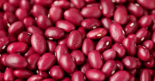 Vibrant Close-Up of Pile of Red Kidney Beans