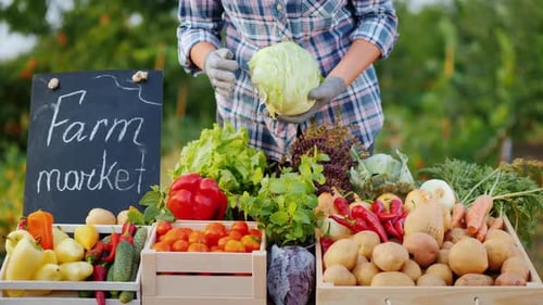 Farmer Seller Puts Cabbage on the Counter at the Vegetable Market