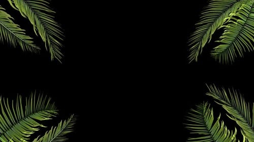 Swaying Tropical Palm Leaves Frame Overlay Animation